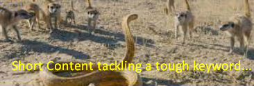 1633636295507.png