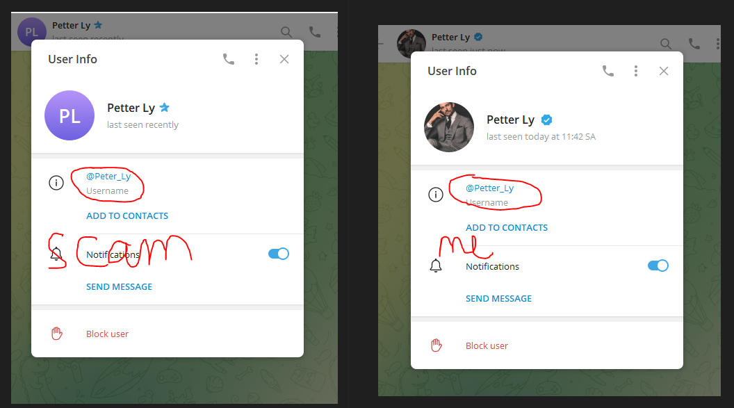 1699937519480.png