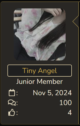1731038363033.png