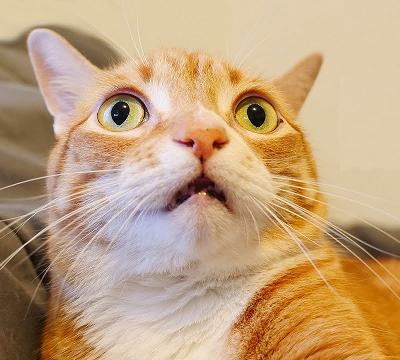 1736626713144.png
