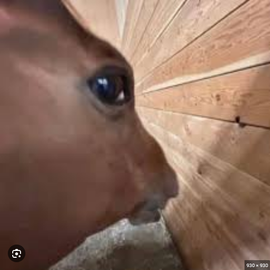 1753763337069.png