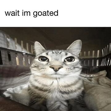 1767973129600.png