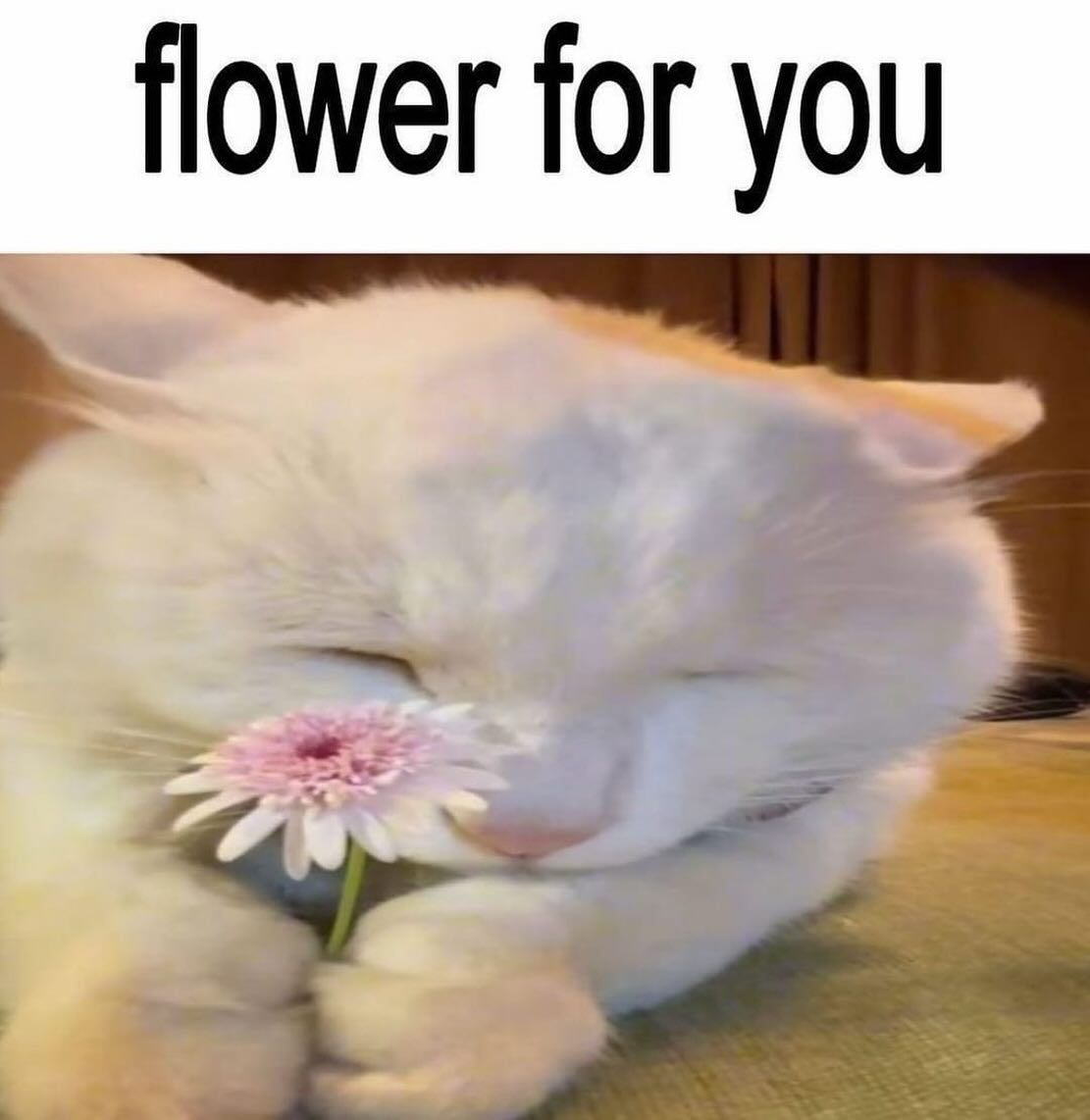 1767982358781.png