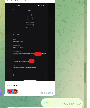 1787378435928.png