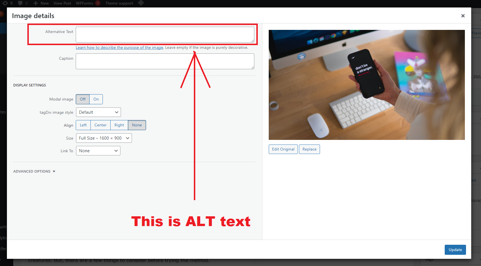 alt.PNG