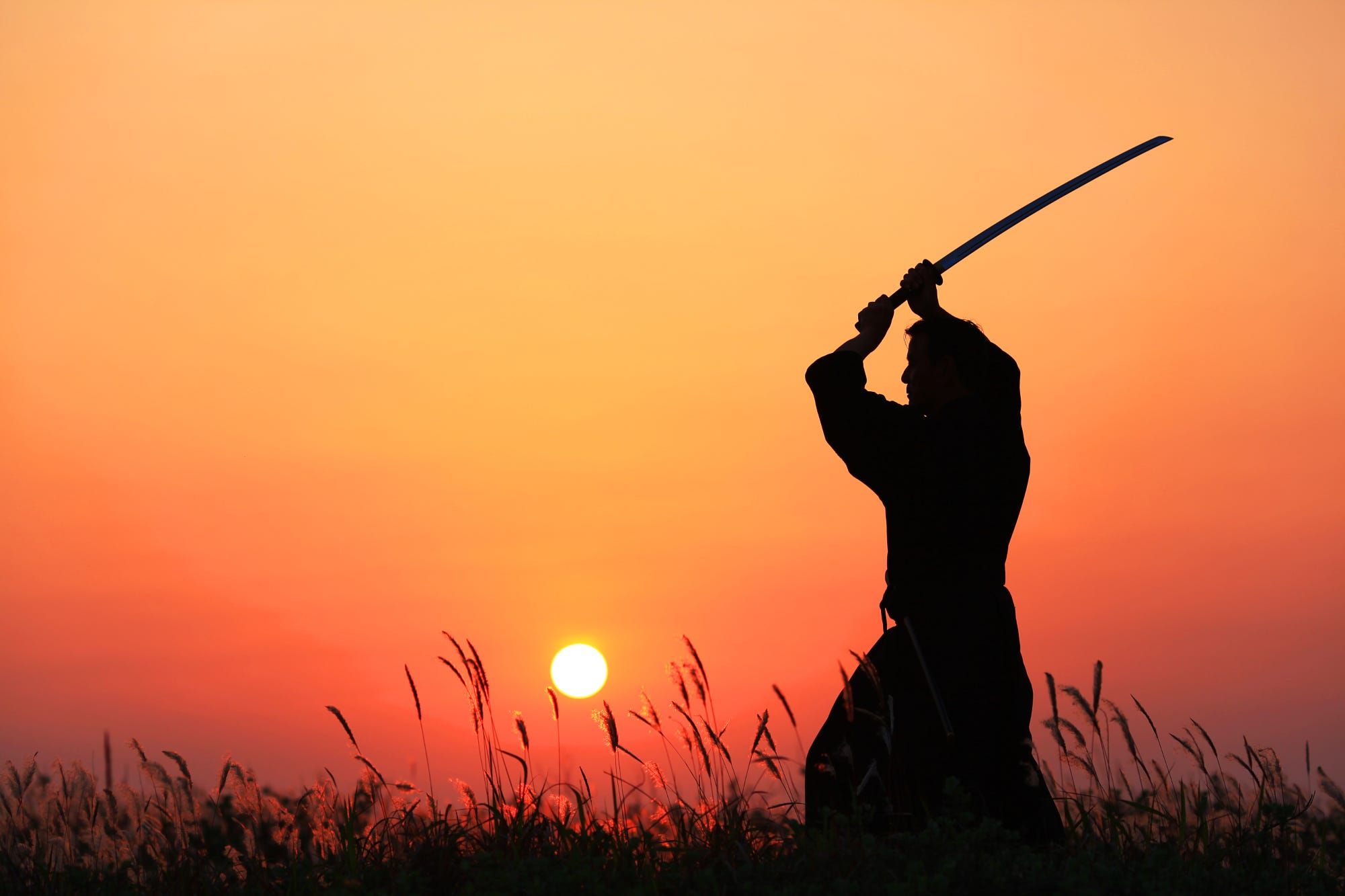 ArtOfWarSEO-Samurai1 Sword.jpg