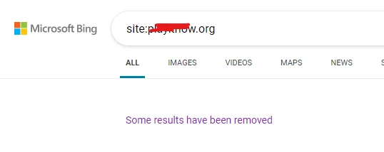 bing search.webp