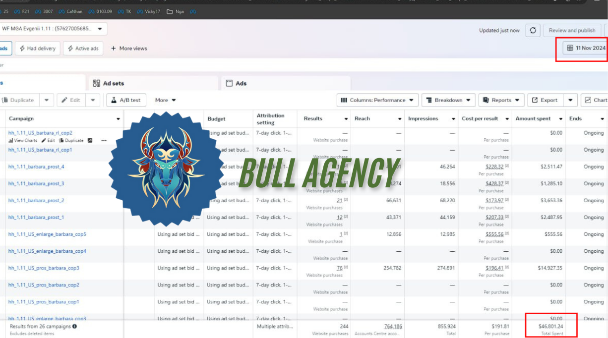 Bull agency (11).png
