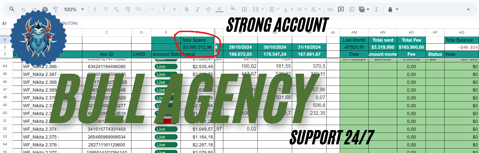 BULL AGENCY.png