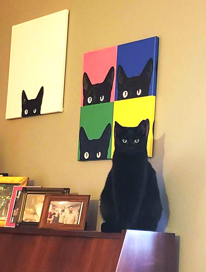 catr.jpg