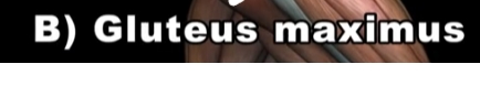 chrome_ReIMA4Ok5T.jpg