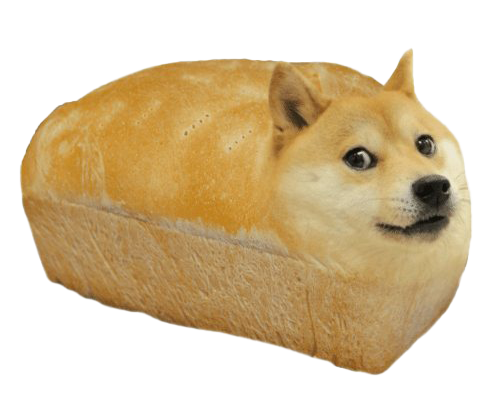 doge.png