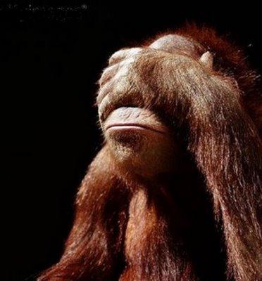 Facepalm Monkey.jpg