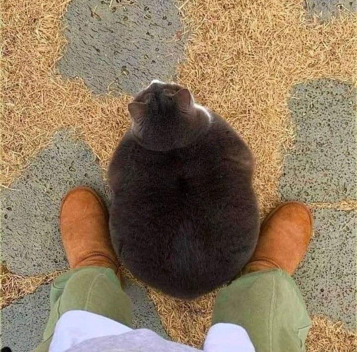 FhFnygKakAA5mzm.jpeg