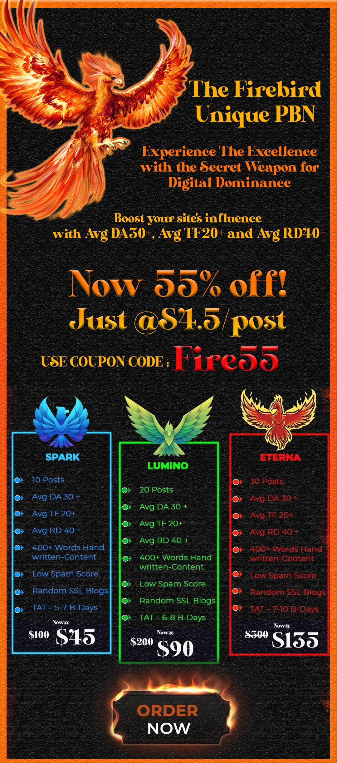 FireBird Unique PBN.jpg