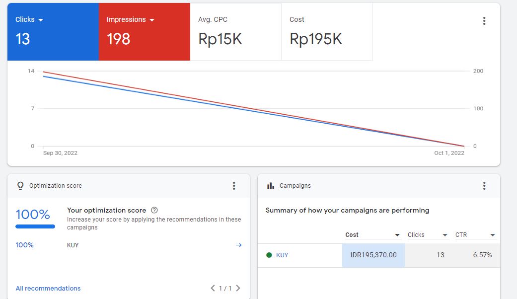 google ads 1.JPG