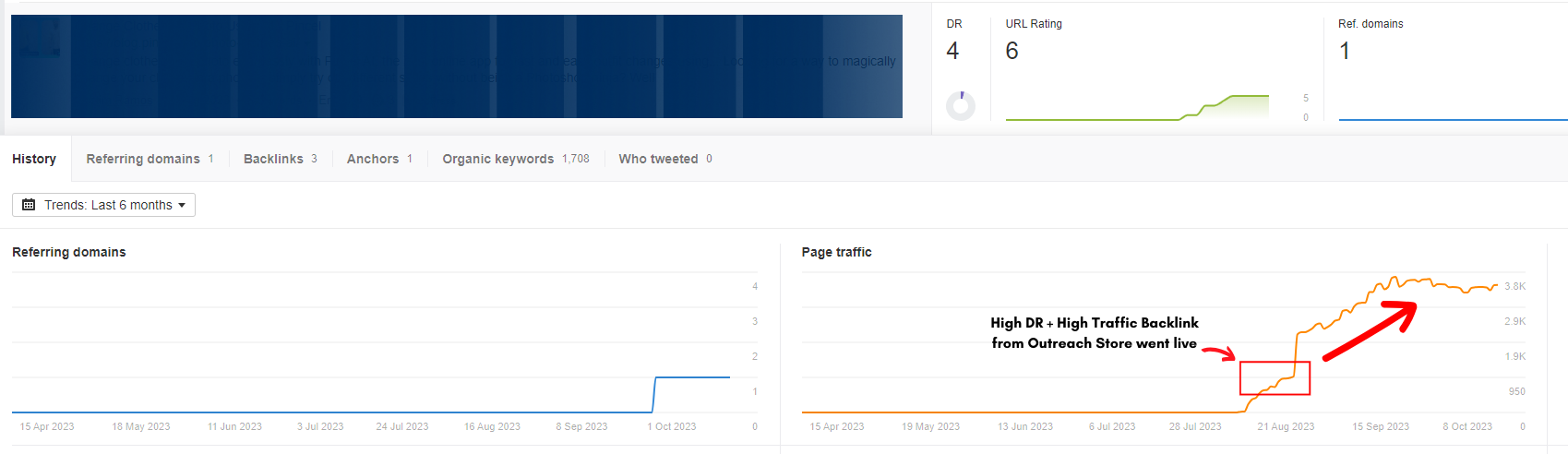 High DR + High Traffic Backlink from Outreach Store.png