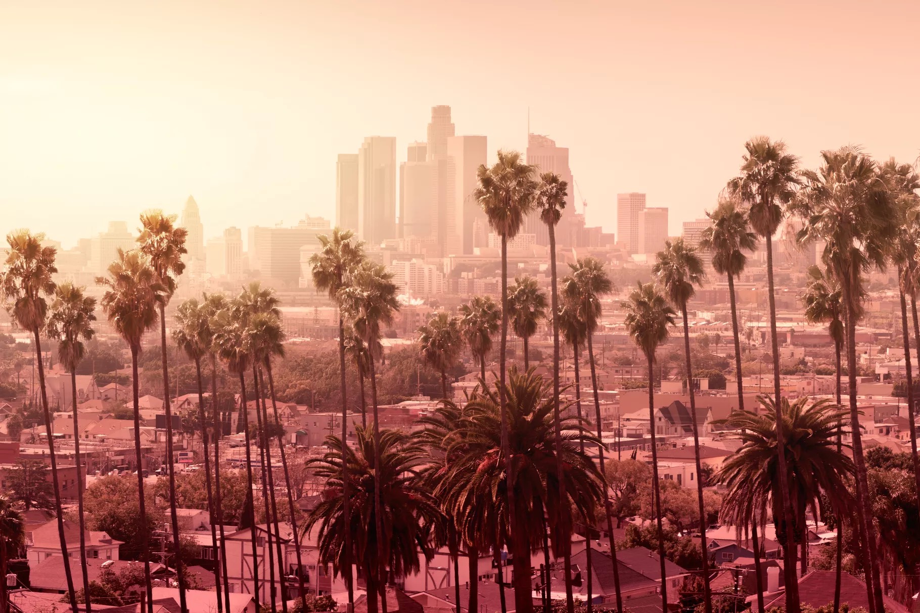 la.jpg