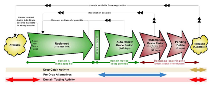 life-cycle.jpg