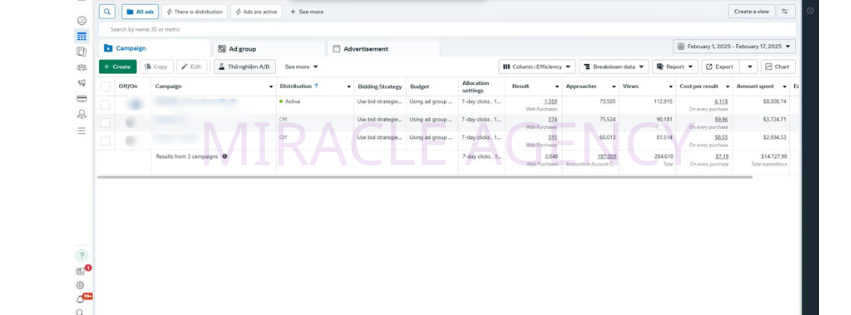 MIRACLE AGENCY (2).png
