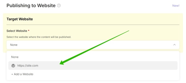 New Publishing to Website Interface.jpg