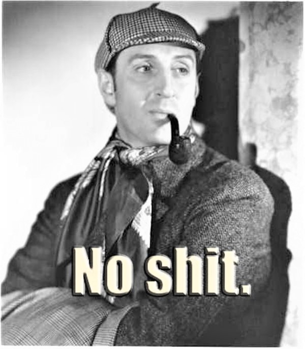 No Shit Sherlock.jpg