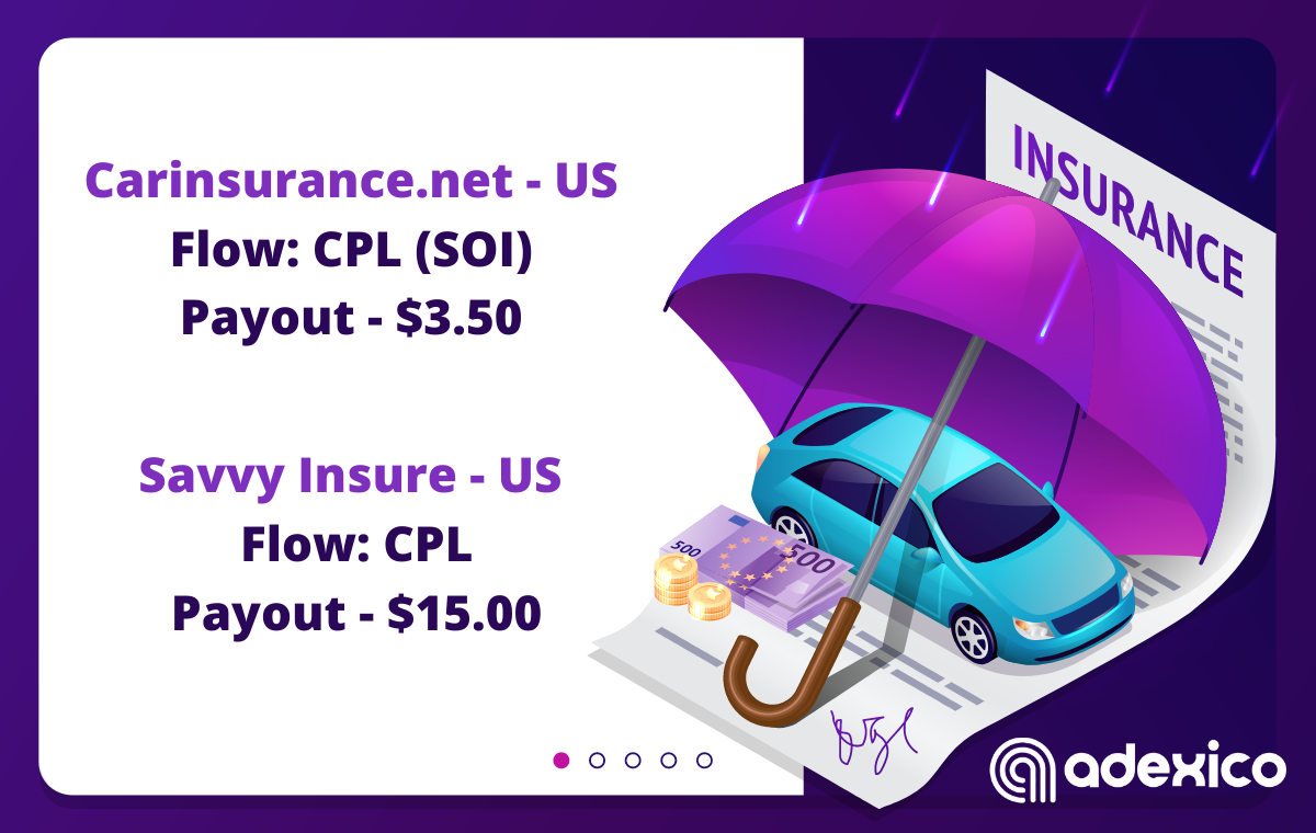 Savvy Insure.png