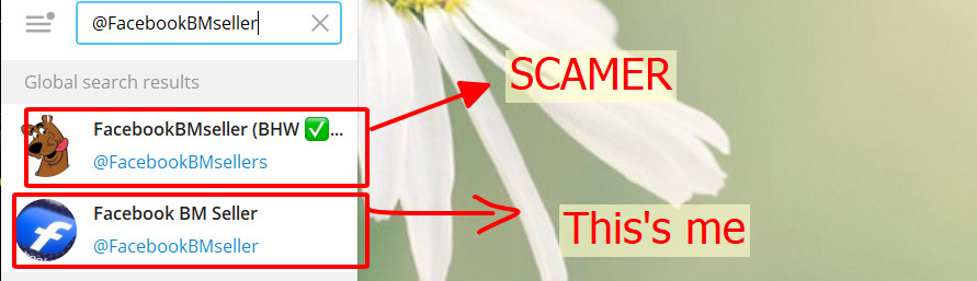 Scamer.jpg