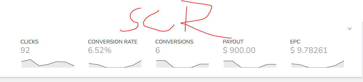 scr reddit profit.PNG