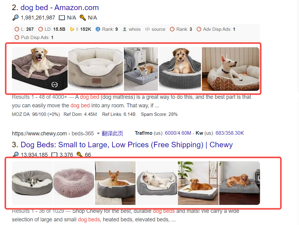 serp image.png