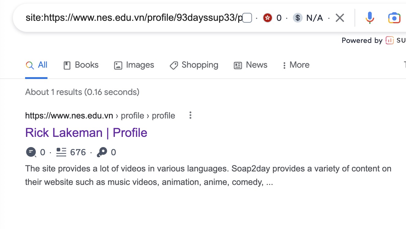 SERP.jpeg