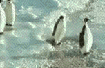 work fail GIF.gif
