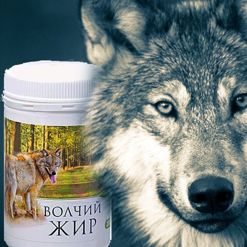 жир.jpg