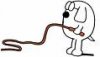 dogbert's-blackhat-boot-camp.jpg
