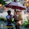 20130820-maring-memes-15.jpg