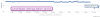 00000987.png