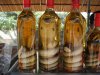 snake-wine21.jpg