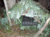 Shelter8.jpg
