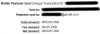 payment.png