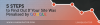 zoyk.png