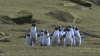 tumblr_n1h0tcaEIz1sped3xo1_400.gif