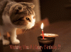 Happy-Birthday-1.gif