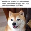 dog-meme-7.jpg dog-meme-7.jpg