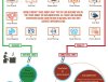 Link-Building-Infographic (1) [www.imagesplitter.net]-1-0.jpeg