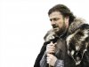 Brace-Yourselves.jpg