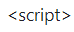 script tag.png