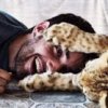Photo de profil Lionne.jpg