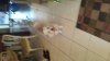 20160403_134417.jpg 20160403_134417.jpg