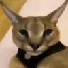 1634672943372.png 1634672943372.png