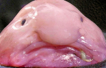 1637577484174.png